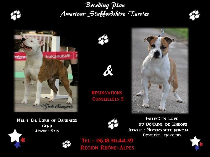 du Domaine de Kheops - ** Breeding Plan 2015 **