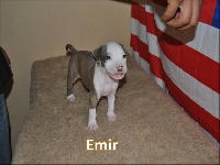 Emir