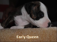 Early Queen