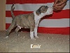 Emir