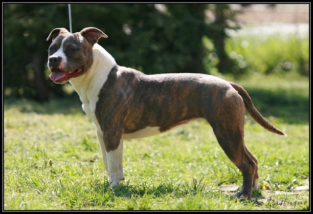 Earth angel du Domaine de Kheops