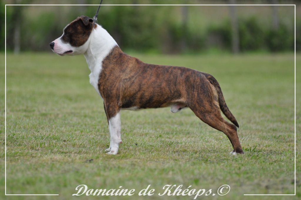 Unchain the thunder du Domaine de Kheops