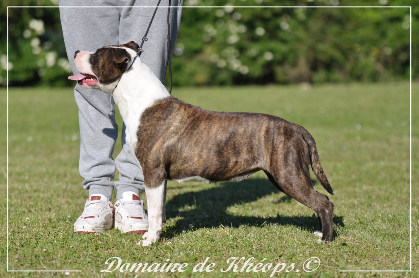 UNA STORIA IMPORTANTE du Domaine de Kheops