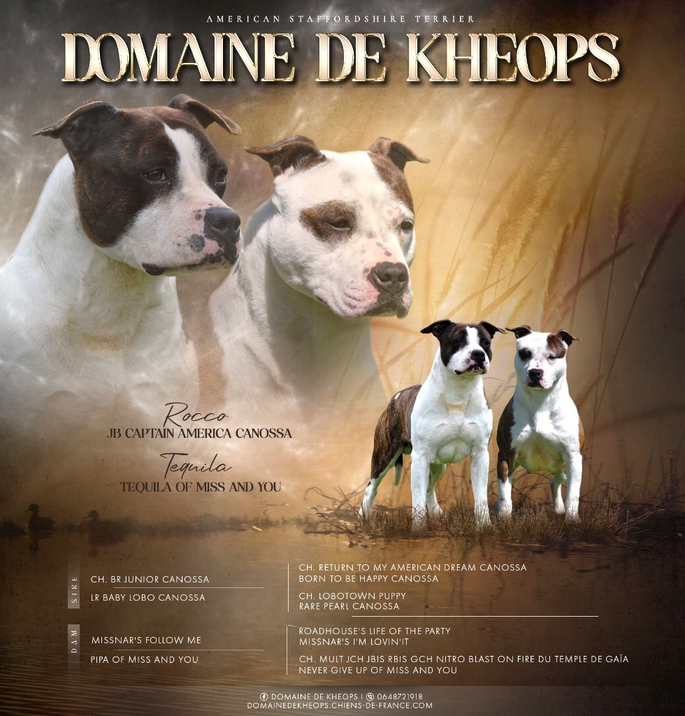 du Domaine de Kheops - *Mariage 2025*
